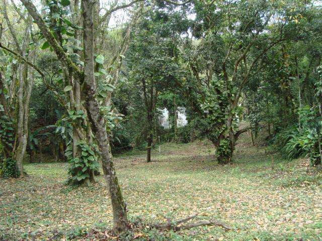 Sítio à venda com 5 quartos, 160m² - Foto 15