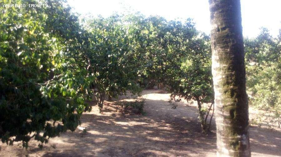 Sítio à venda com 2 quartos, 102m² - Foto 20