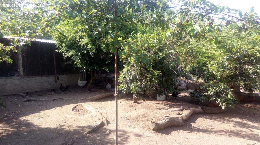 Sítio à venda com 2 quartos, 102m² - Foto 21