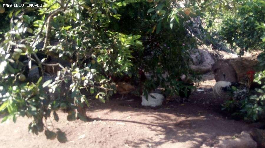 Sítio à venda com 2 quartos, 102m² - Foto 23