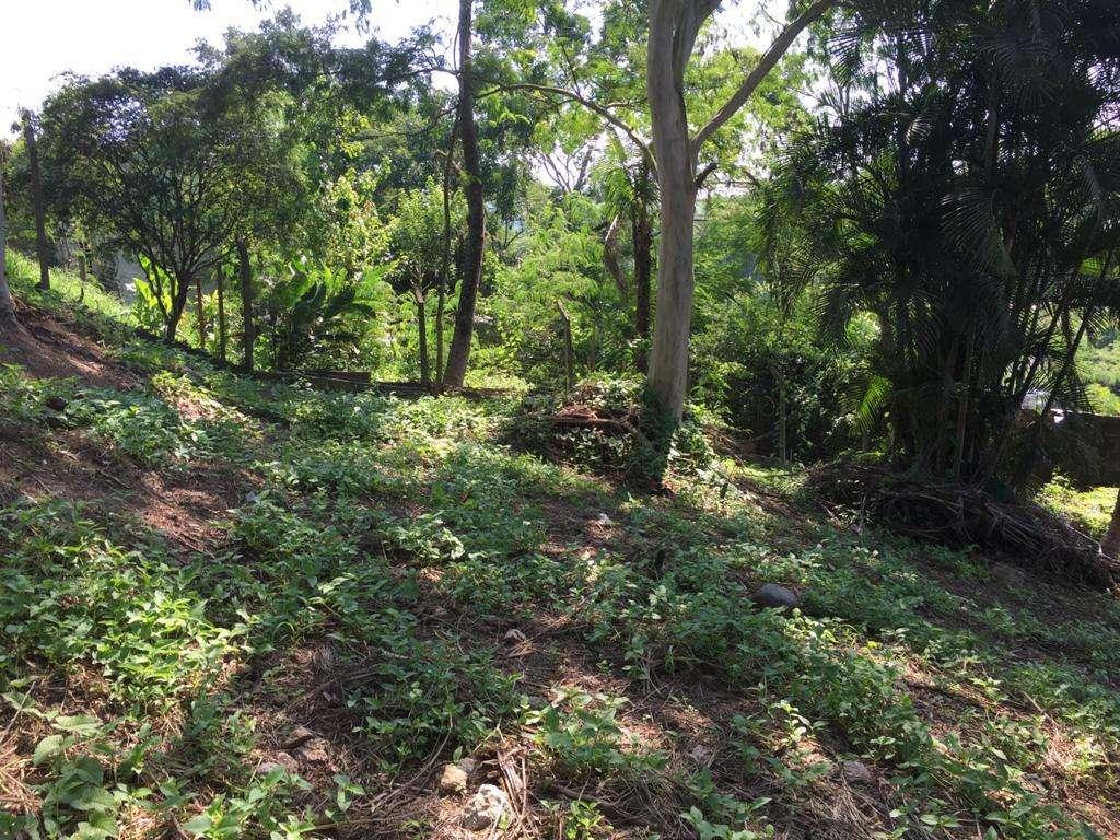 Terreno, 1868 m² - Foto 3