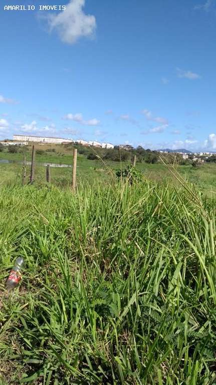 Terreno, 2 hectares - Foto 5