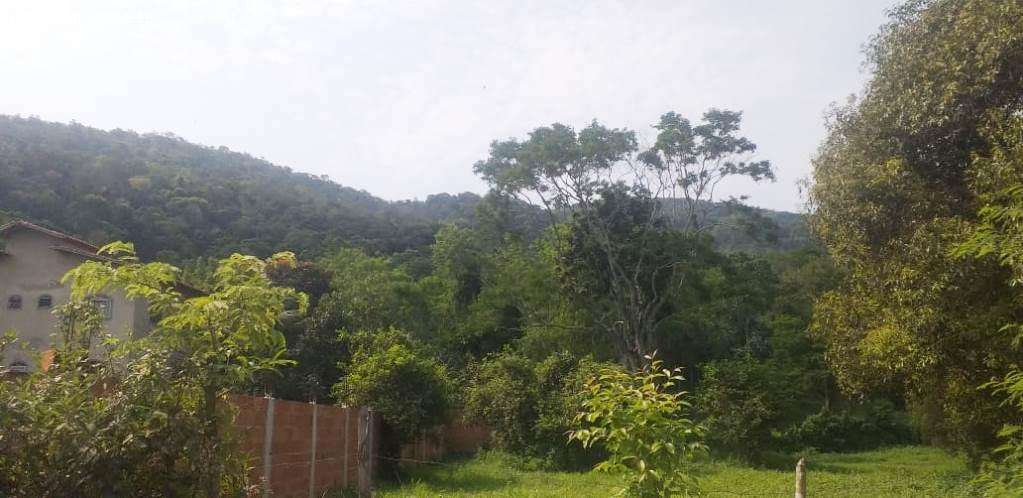 Terreno, 2 hectares - Foto 4