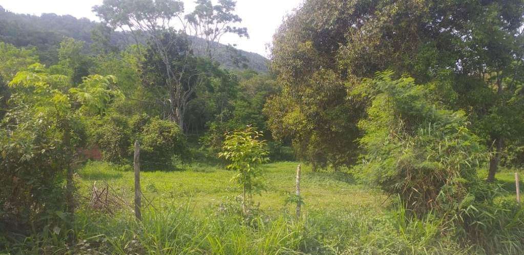 Terreno, 2 hectares - Foto 3