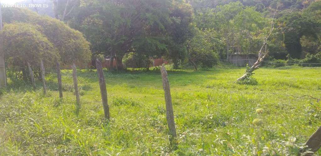 Terreno, 2 hectares - Foto 6