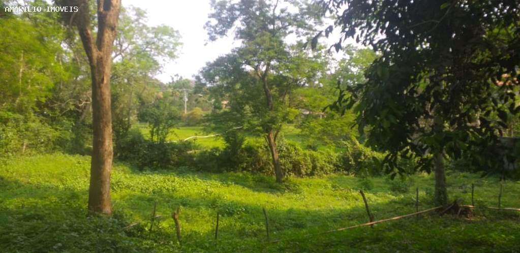 Terreno, 2 hectares - Foto 11