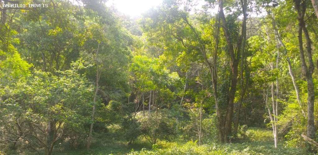 Terreno, 2 hectares - Foto 12