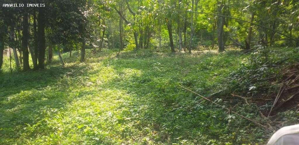 Terreno, 2 hectares - Foto 8