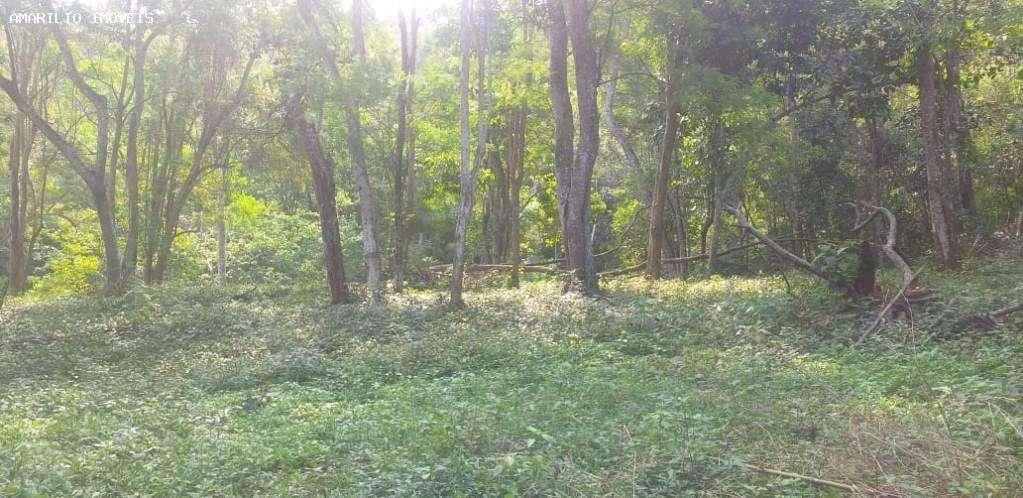 Terreno, 2 hectares - Foto 10