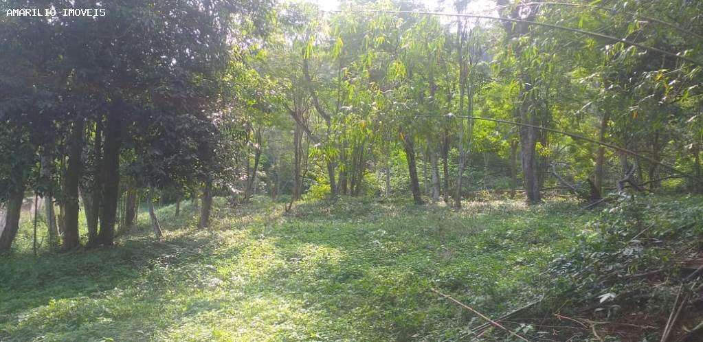 Terreno, 2 hectares - Foto 9