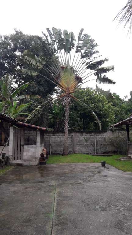 Chácara, 4 quartos, 1525 m² - Foto 22