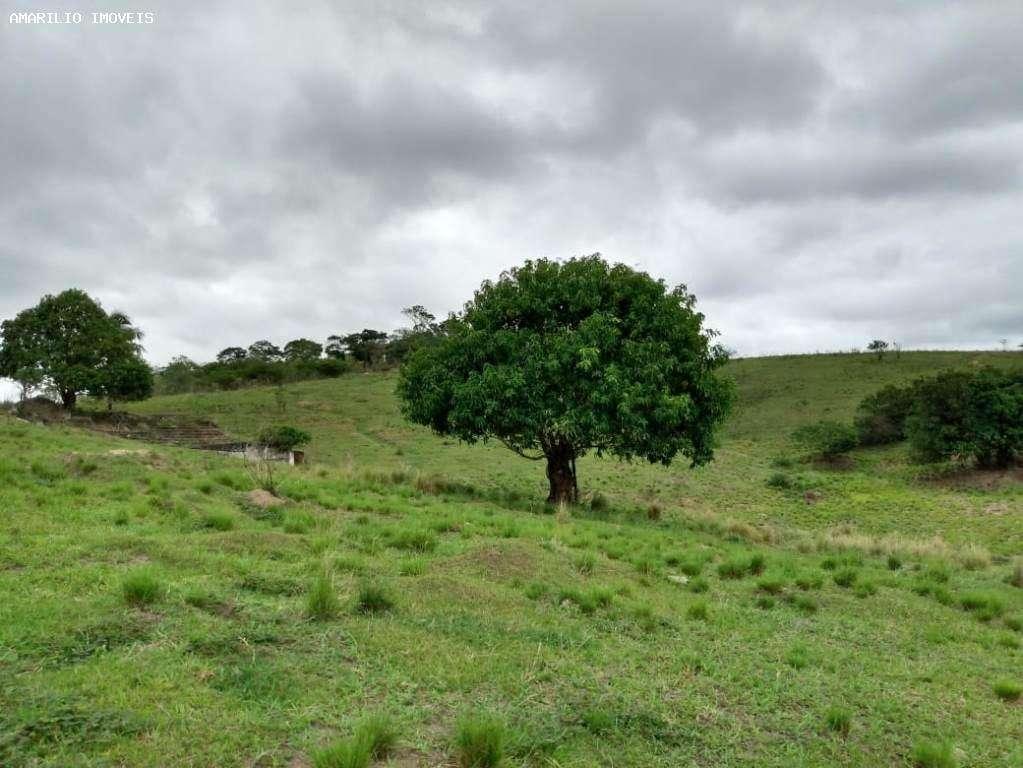 Terreno, 4 hectares - Foto 4