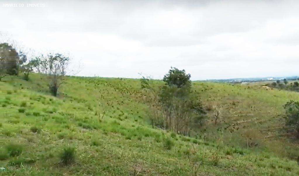 Terreno, 4 hectares - Foto 9