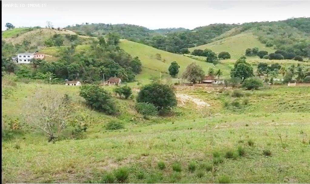 Terreno, 4 hectares - Foto 10