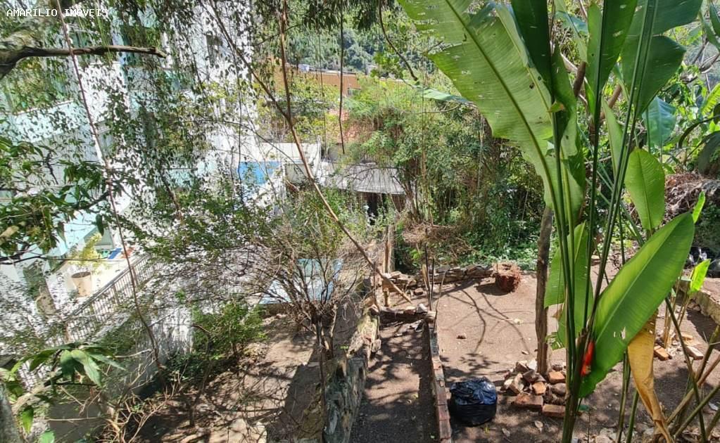 Casa, 4 quartos, 440 m² - Foto 41