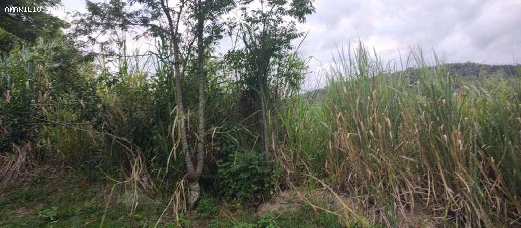 Terreno, 1600 m² - Foto 3
