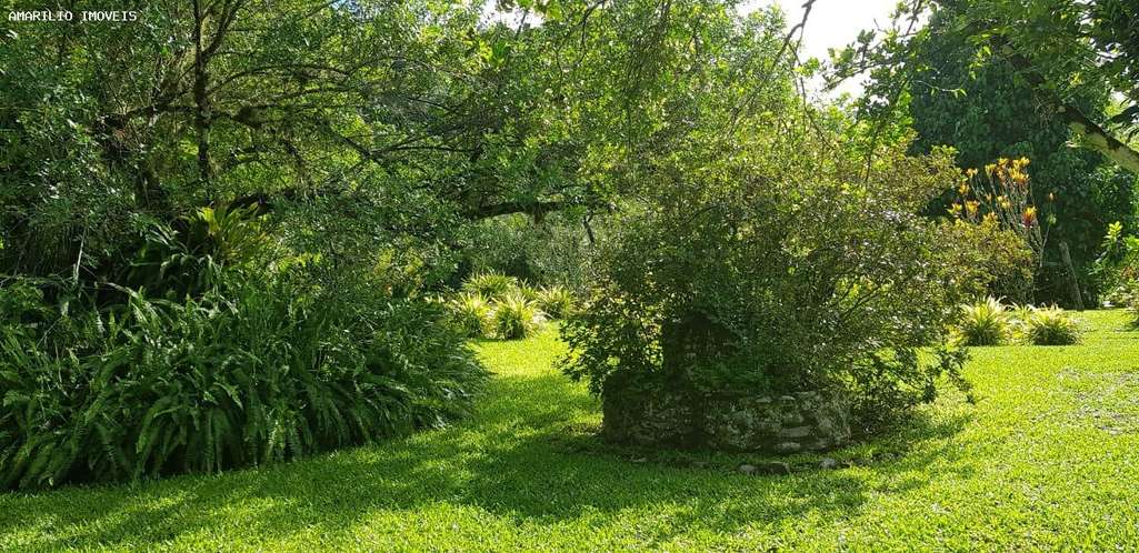 Chácara, 3 quartos, 8500 m² - Foto 29