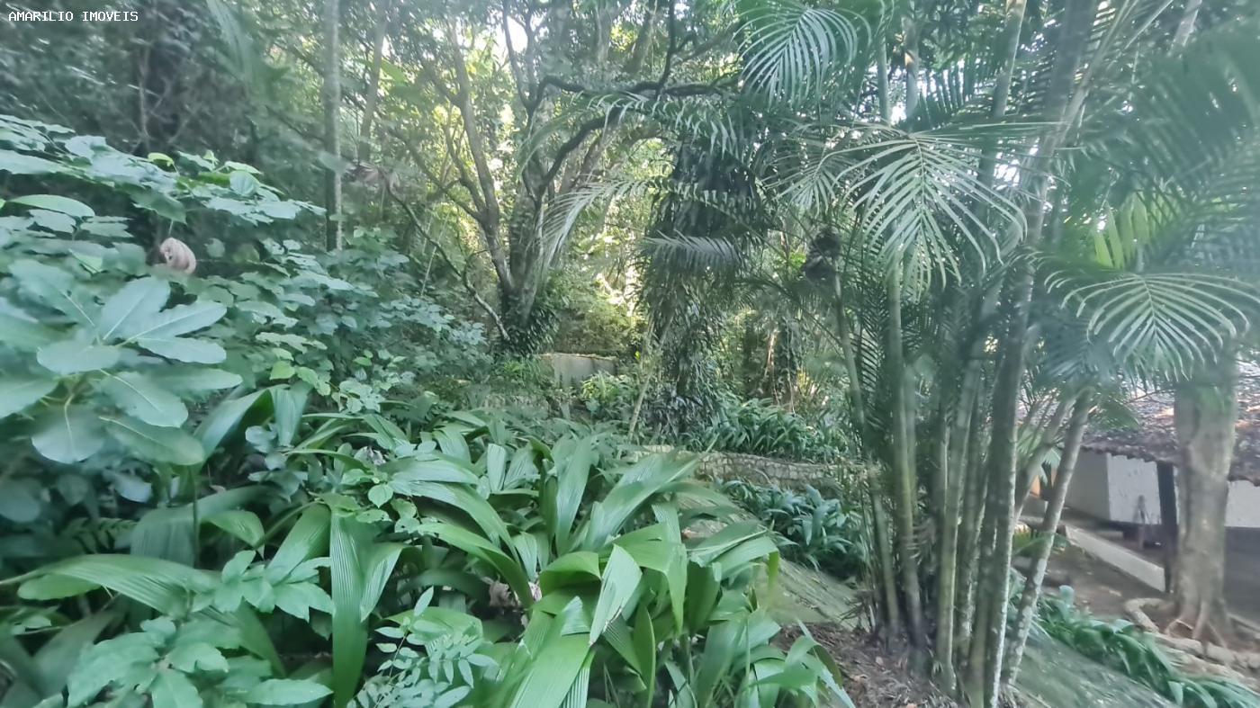 Casa, 6 quartos, 400 m² - Foto 43