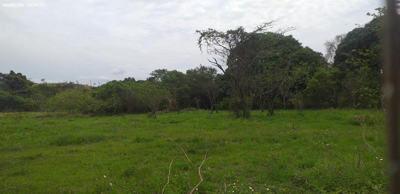 Terreno, 1 hectares - Foto 1