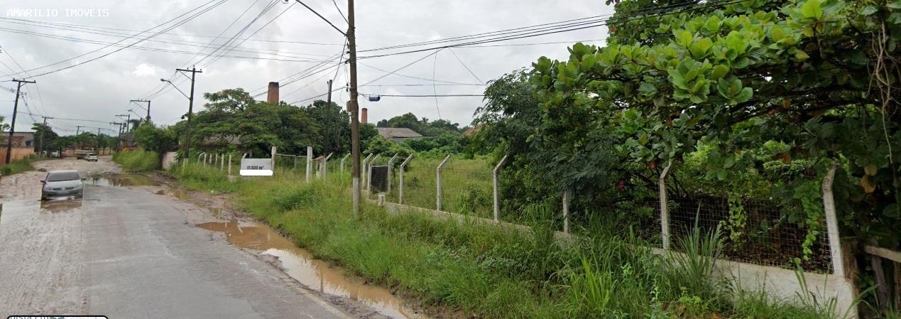 Terreno, 1 hectares - Foto 6