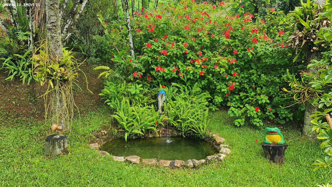 Chácara, 3 quartos, 13 hectares - Foto 35