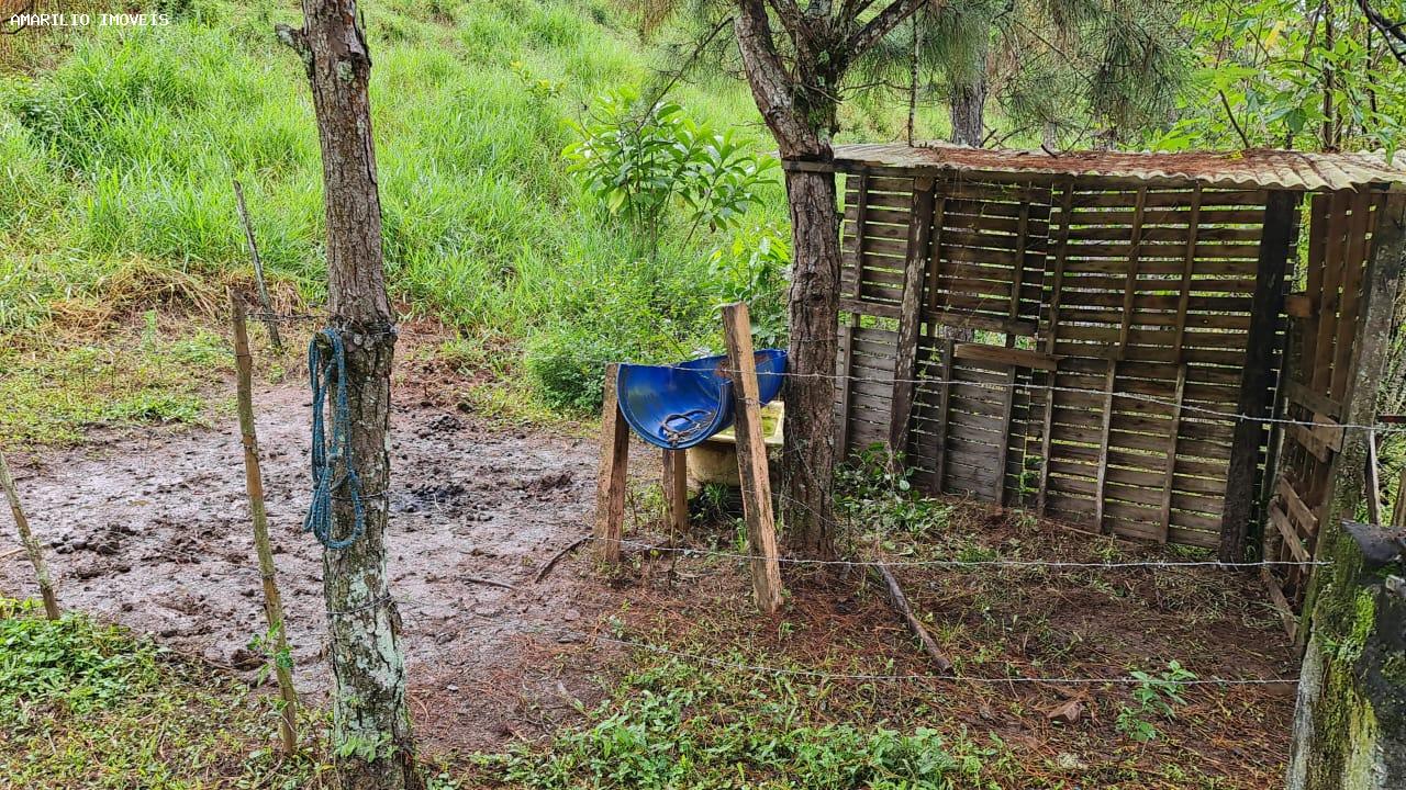 Chácara, 3 quartos, 13 hectares - Foto 39