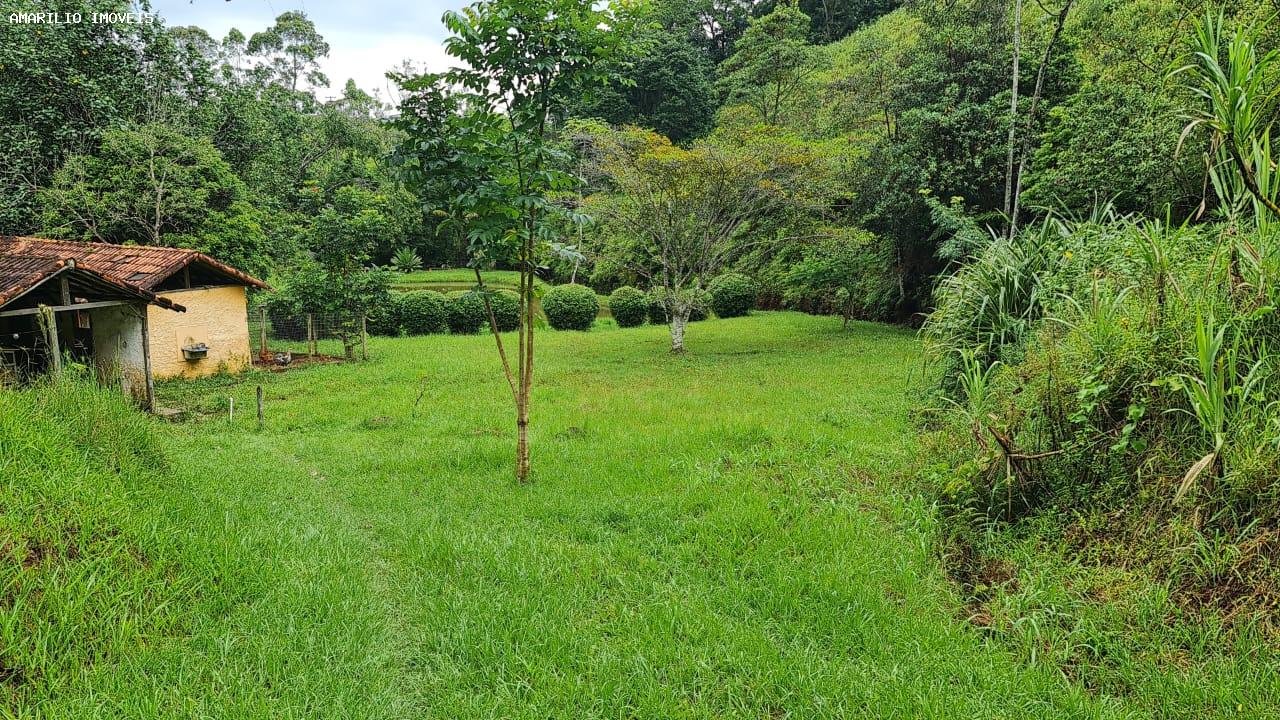 Chácara, 3 quartos, 13 hectares - Foto 41