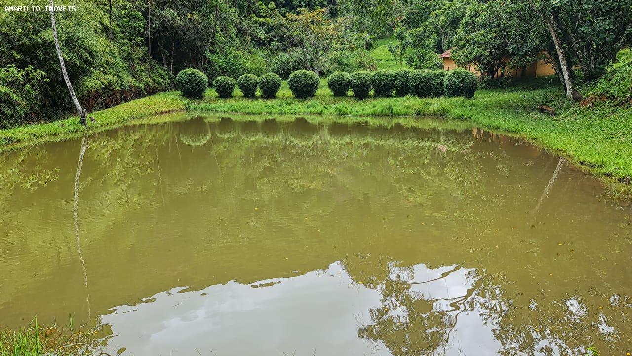 Chácara, 3 quartos, 13 hectares - Foto 44