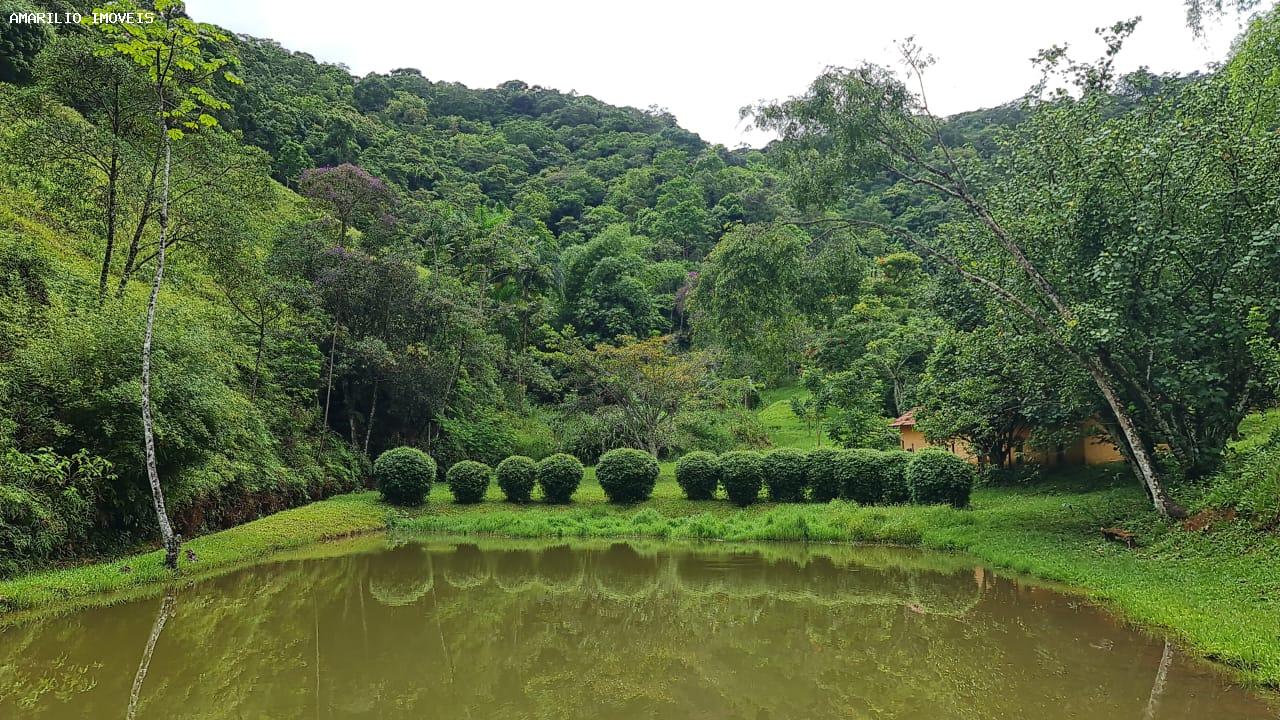 Chácara, 3 quartos, 13 hectares - Foto 46