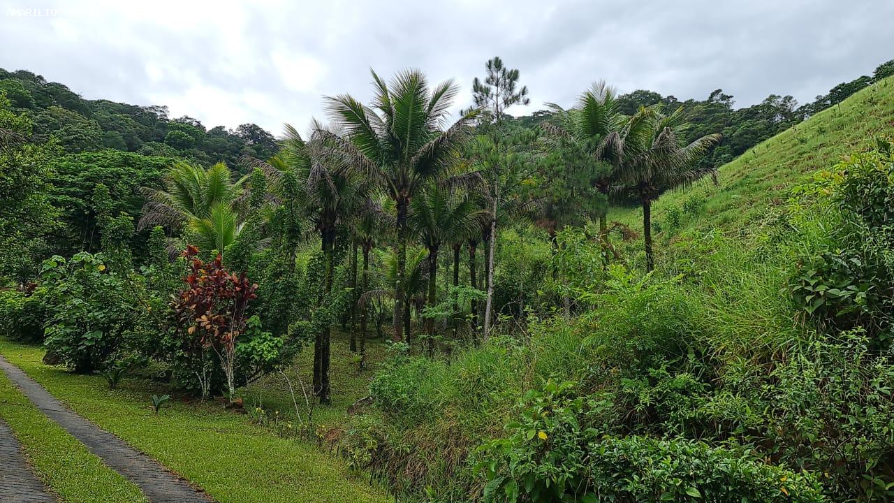 Chácara, 3 quartos, 13 hectares - Foto 47