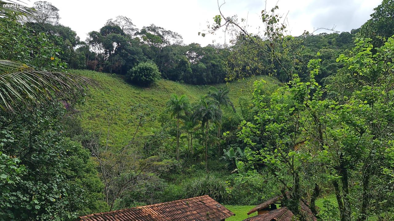 Chácara, 3 quartos, 13 hectares - Foto 48