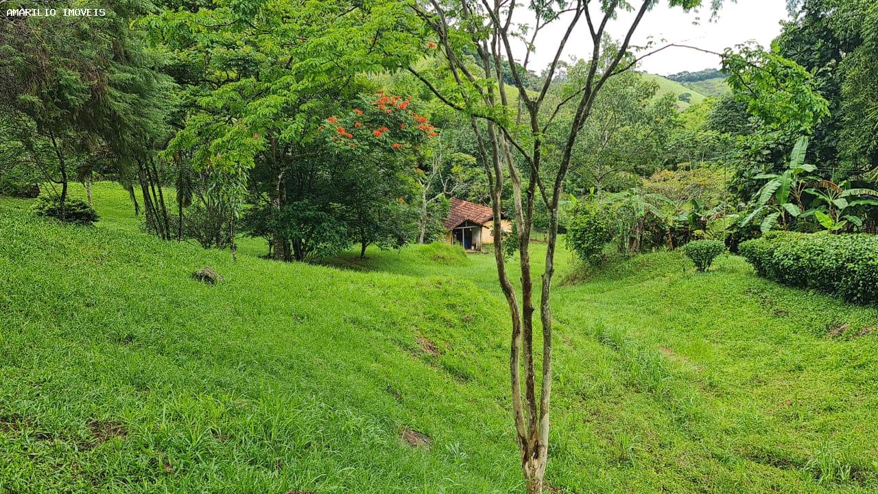 Chácara, 3 quartos, 13 hectares - Foto 51