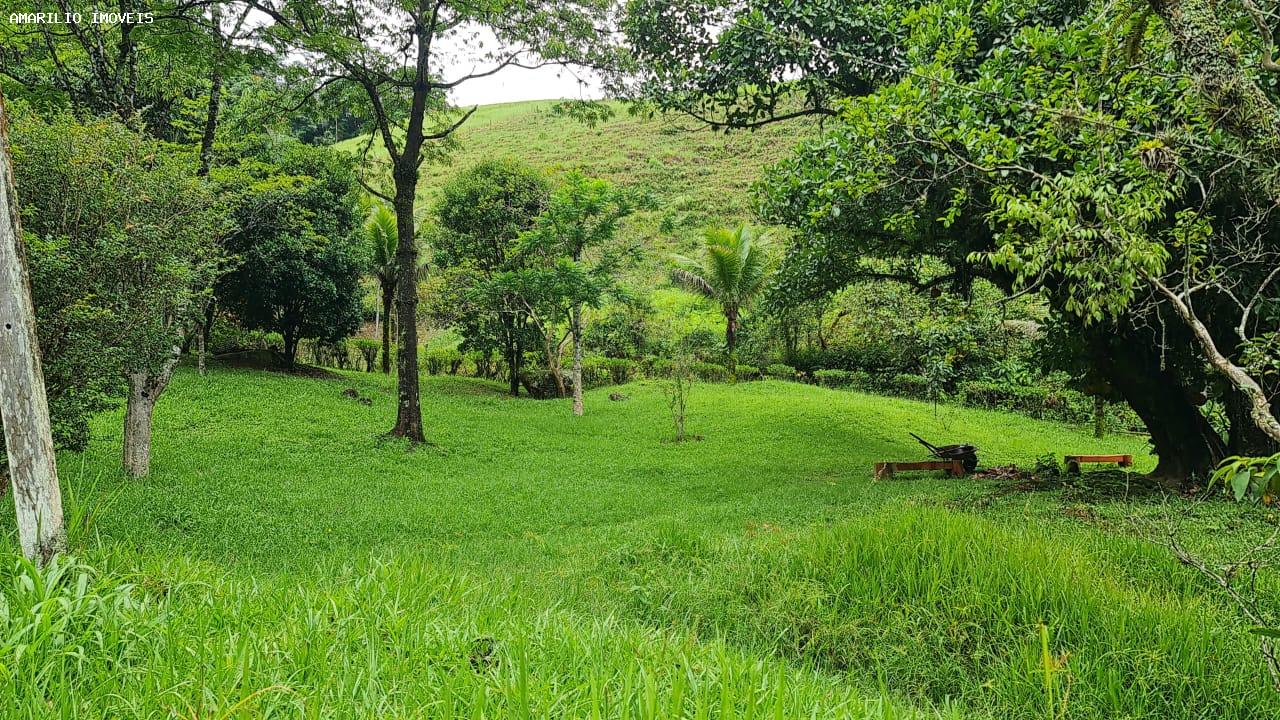 Chácara, 3 quartos, 13 hectares - Foto 54