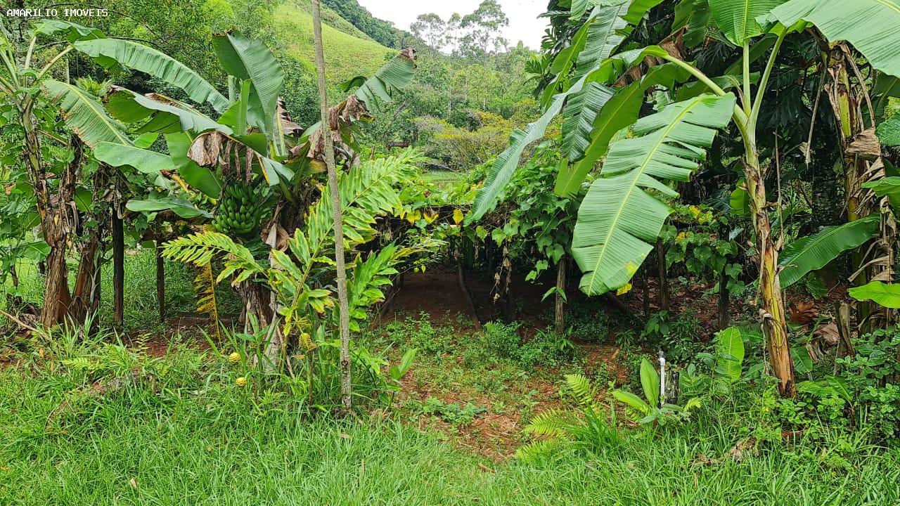 Chácara, 3 quartos, 13 hectares - Foto 52