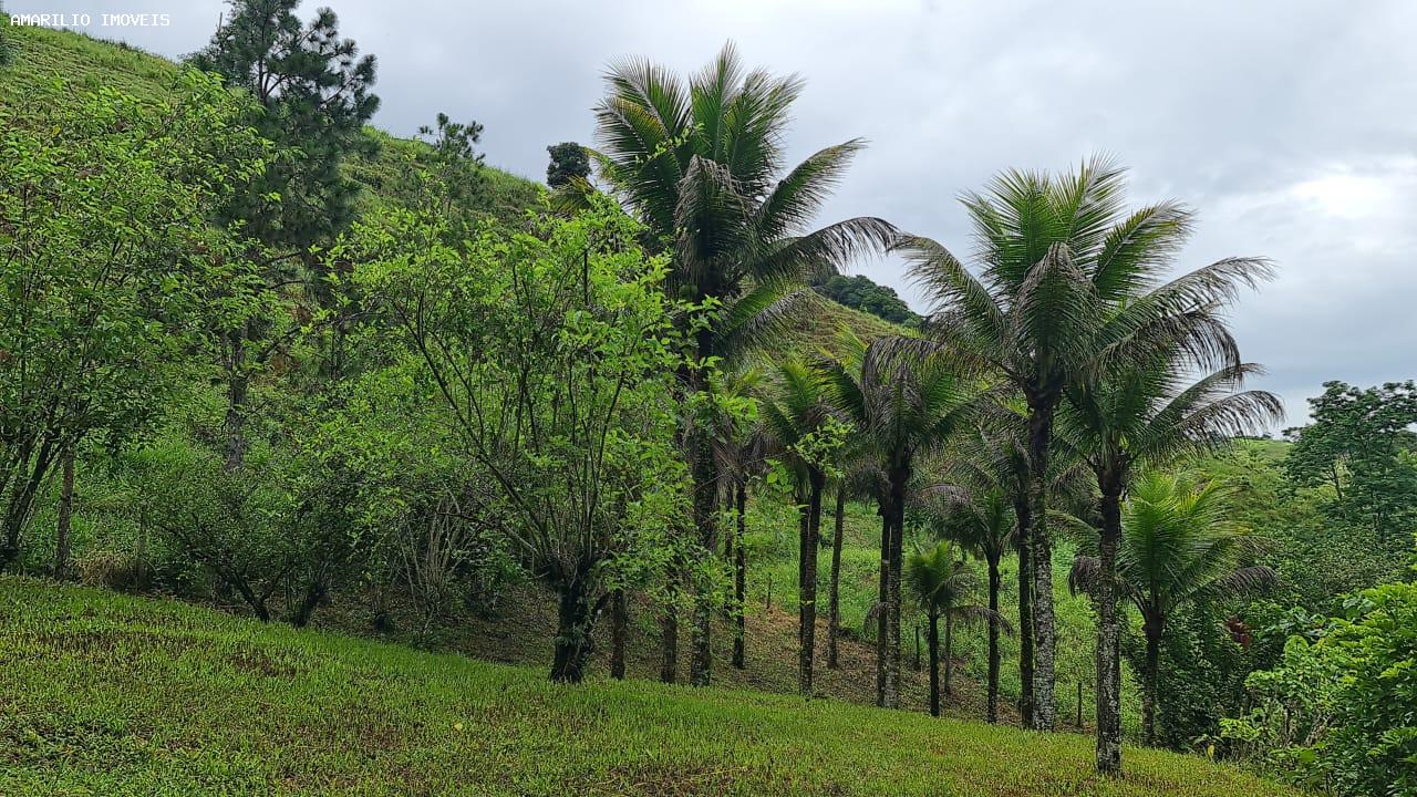 Chácara, 3 quartos, 13 hectares - Foto 56