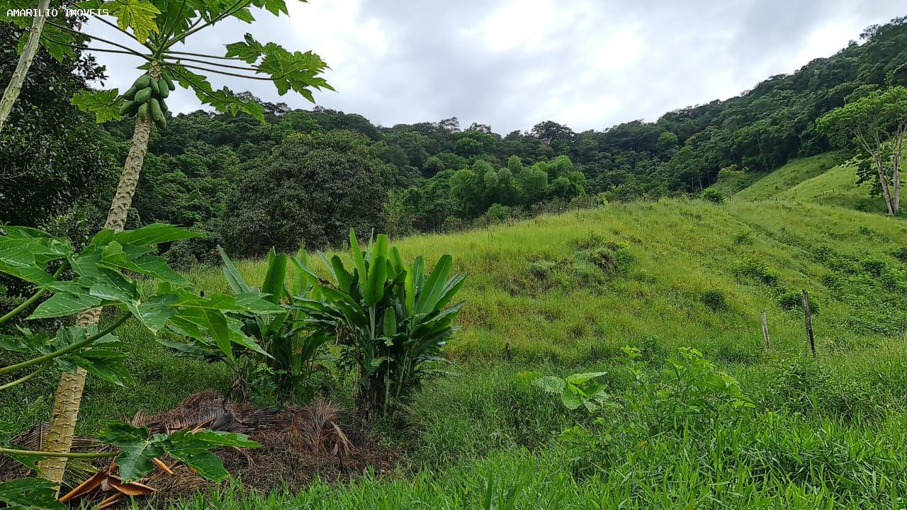 Chácara, 3 quartos, 13 hectares - Foto 55