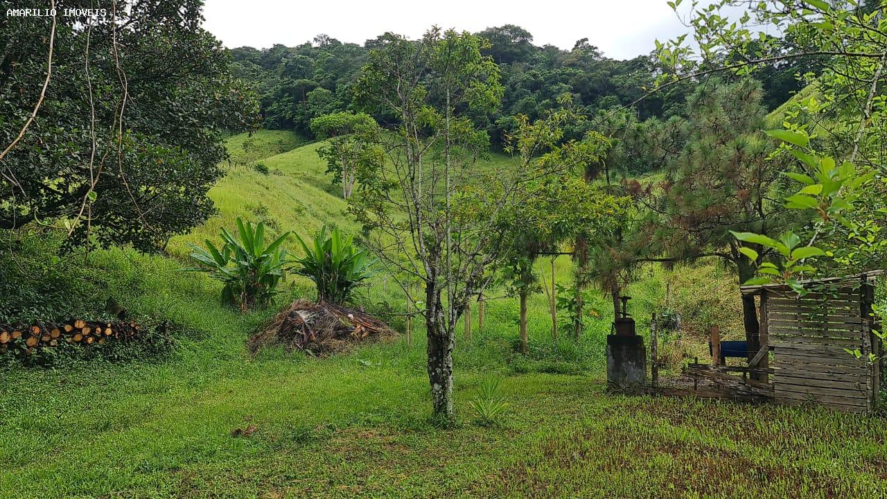 Chácara, 3 quartos, 13 hectares - Foto 58