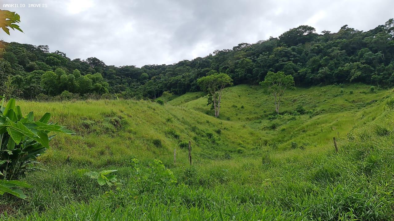 Chácara, 3 quartos, 13 hectares - Foto 57