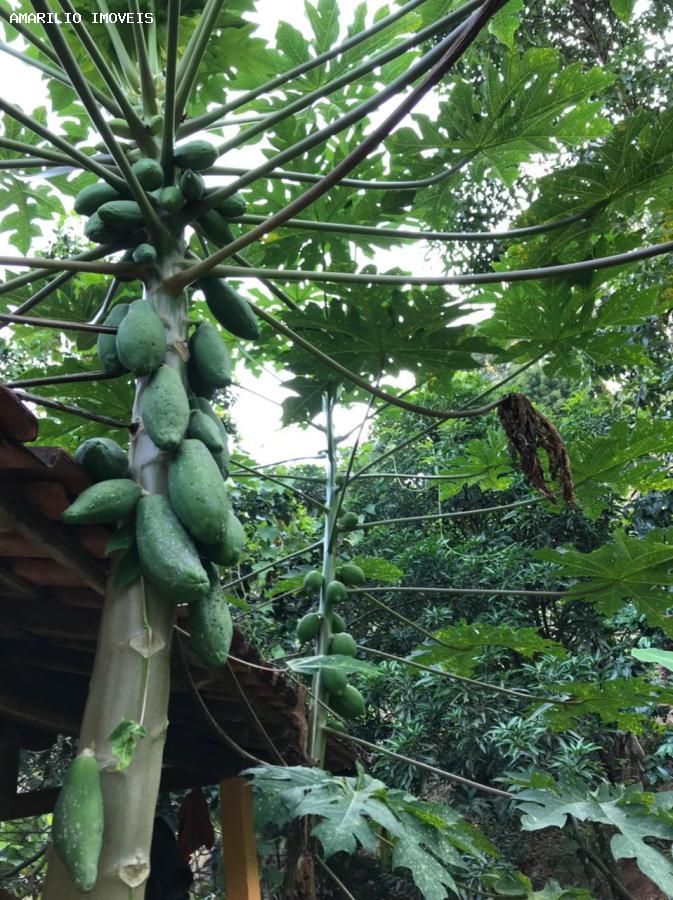 Chácara, 3 quartos, 13 hectares - Foto 61