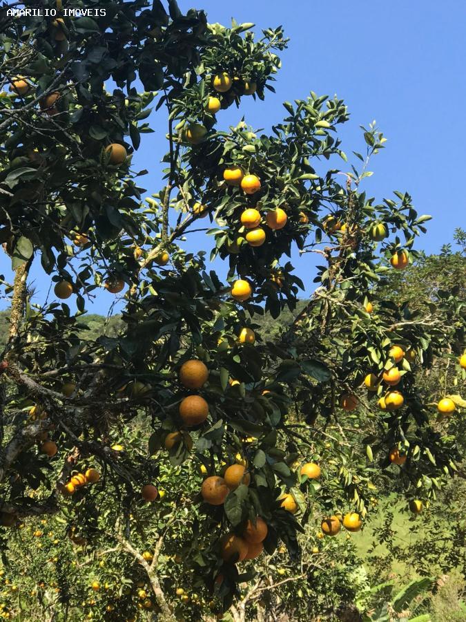 Chácara, 3 quartos, 13 hectares - Foto 60