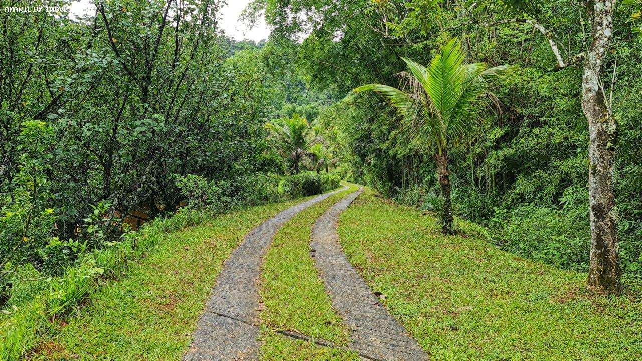 Chácara, 3 quartos, 13 hectares - Foto 63