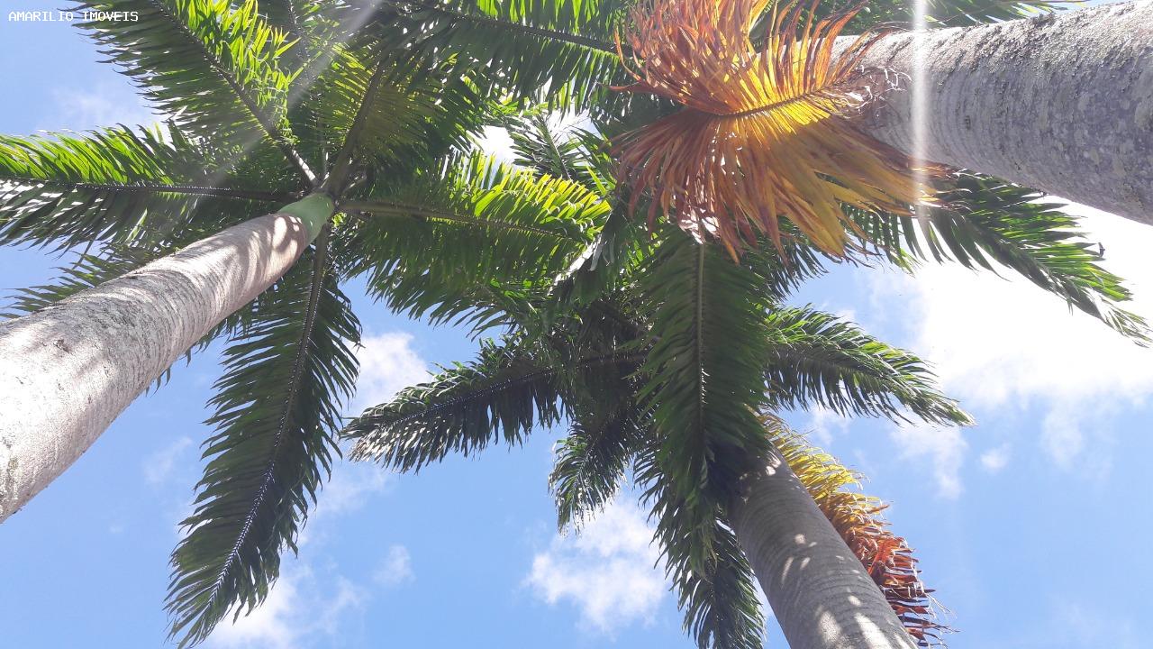 Casa, 4 quartos - Foto 22