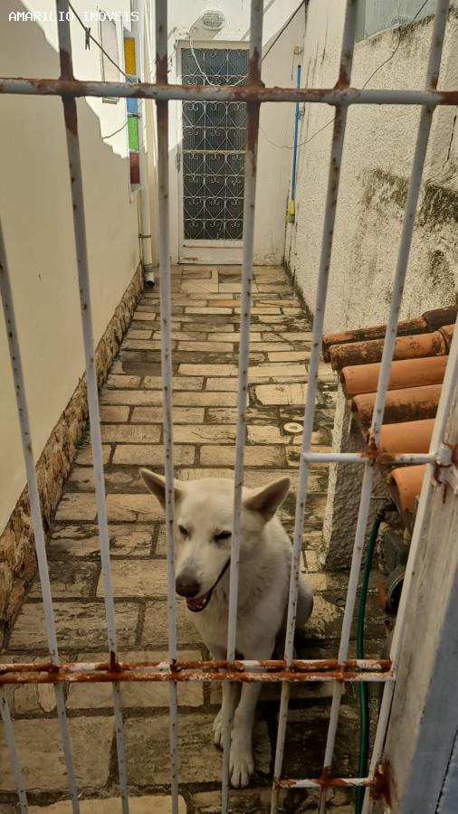 Casa, 3 quartos, 258 m² - Foto 28