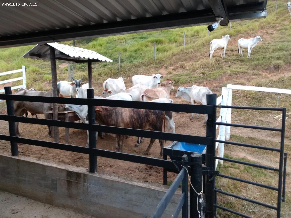 Fazenda, 15 hectares - Foto 6
