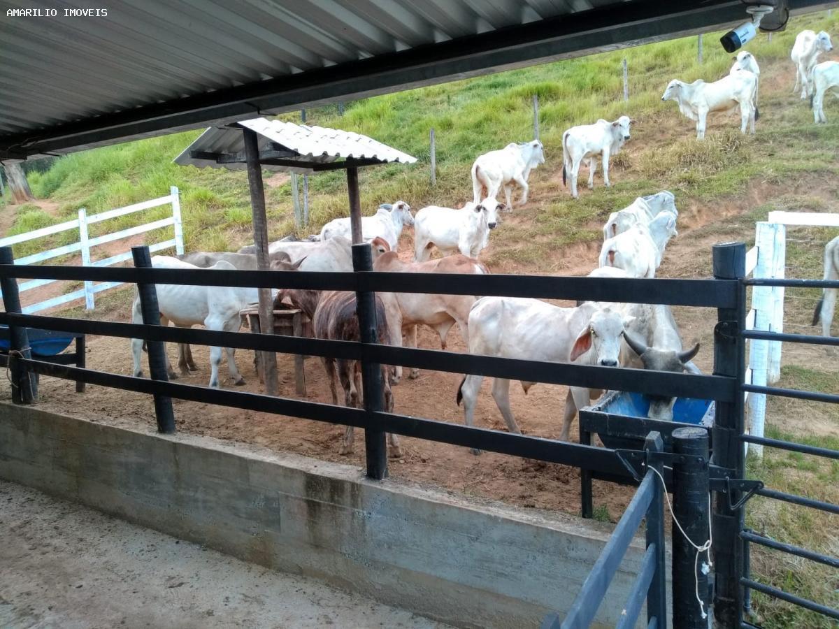 Fazenda, 15 hectares - Foto 7