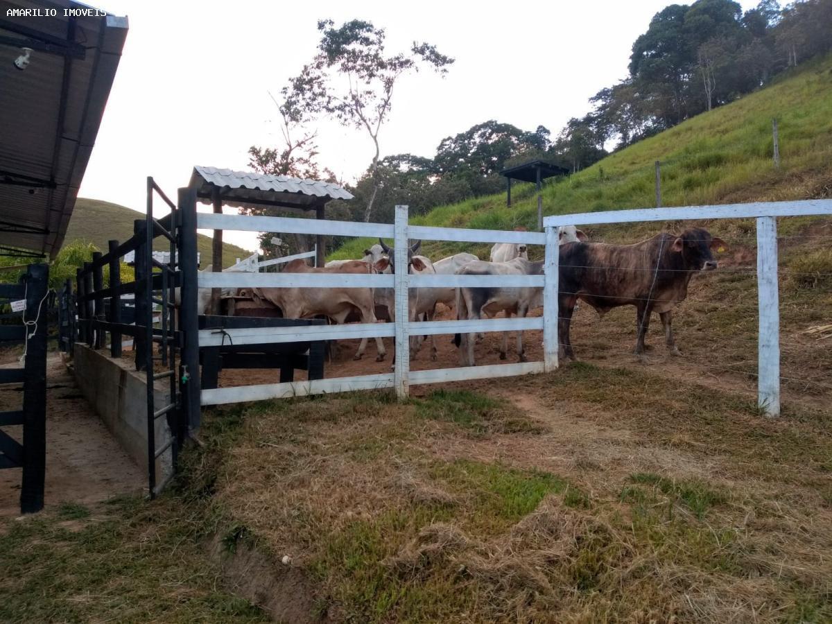 Fazenda, 15 hectares - Foto 9