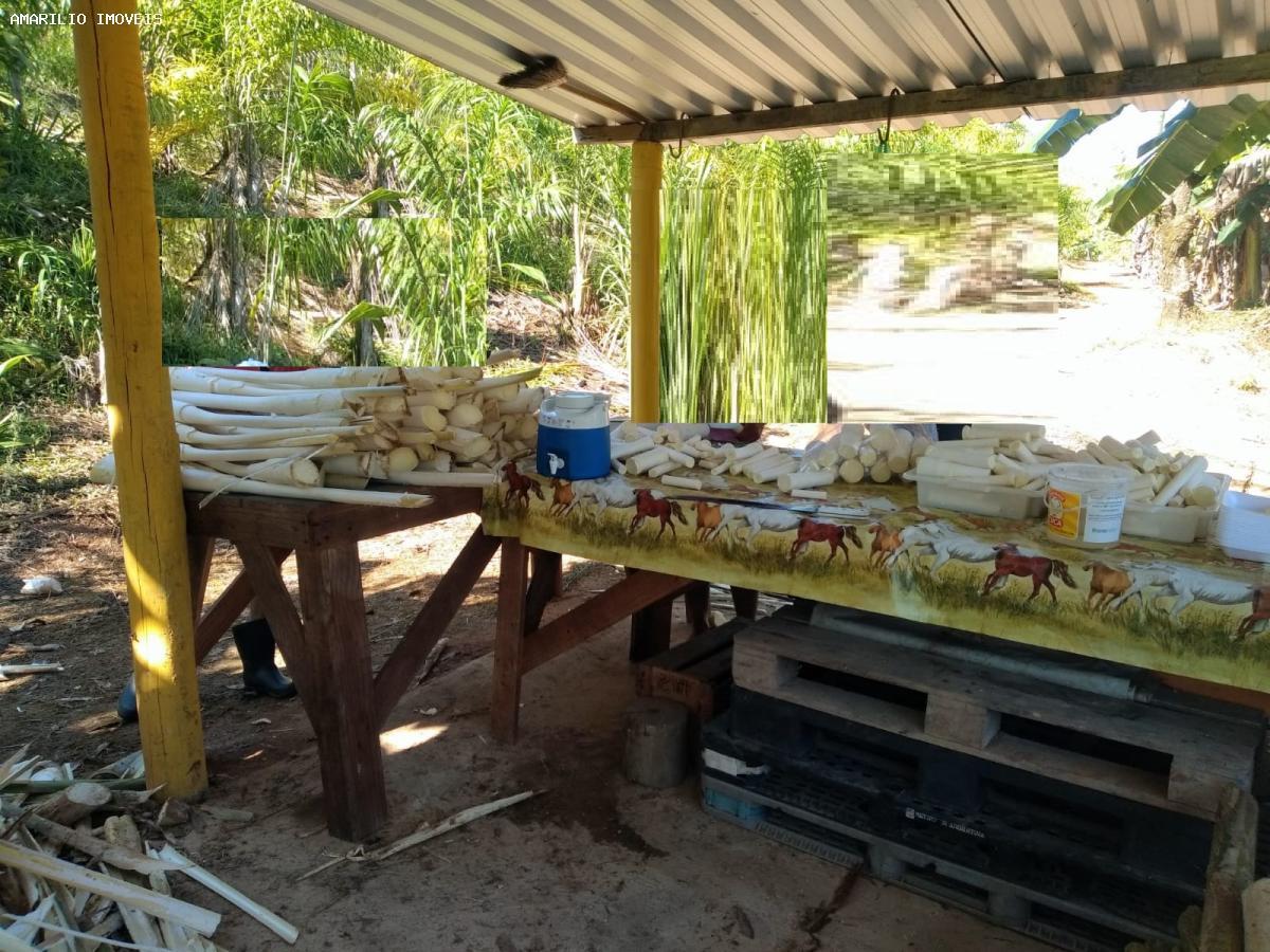 Fazenda, 15 hectares - Foto 11