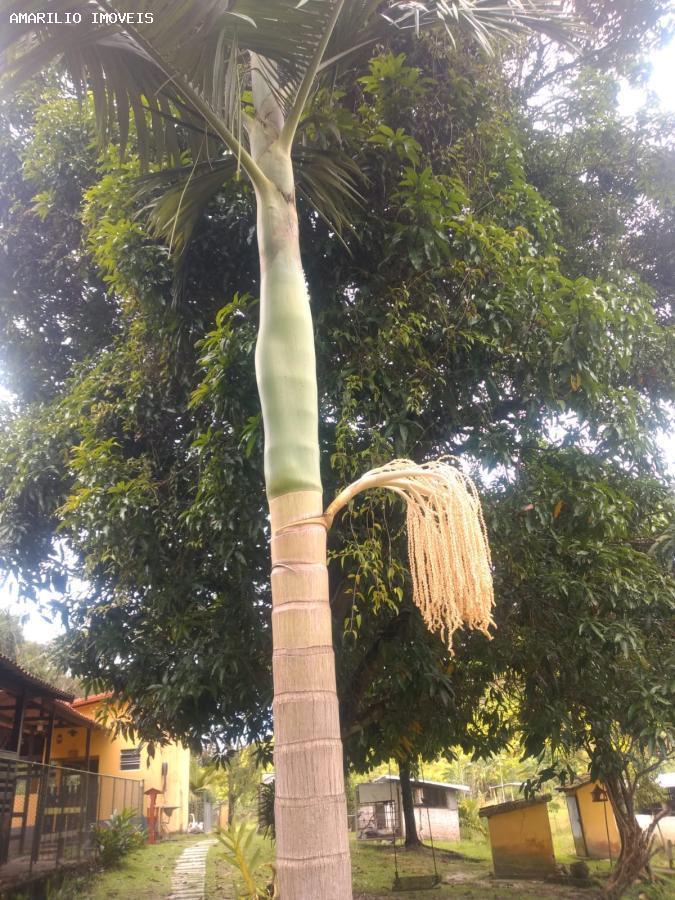 Fazenda, 15 hectares - Foto 13