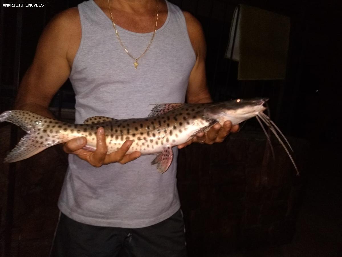 Fazenda, 15 hectares - Foto 18