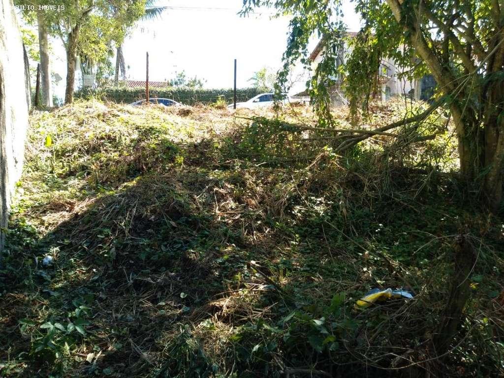 Prédio Inteiro, 675 m² - Foto 4